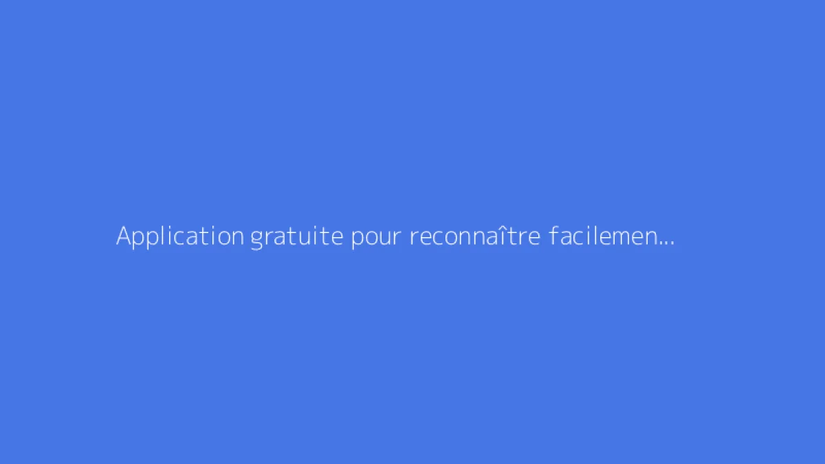 Application gratuite pour reconnaître facilement les fleurs