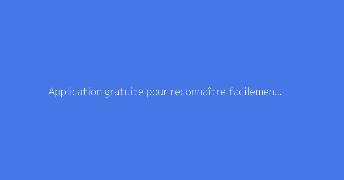 Application gratuite pour reconnaître facilement les fleurs