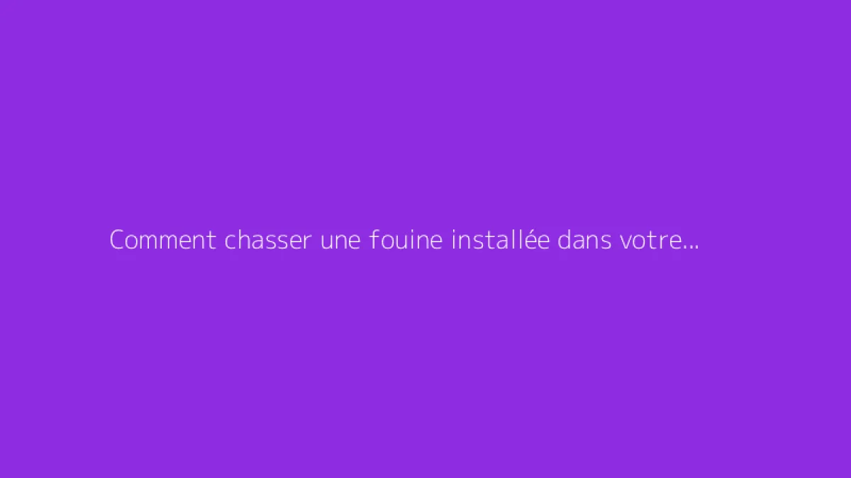 Comment chasser une fouine installée dans votre toit
