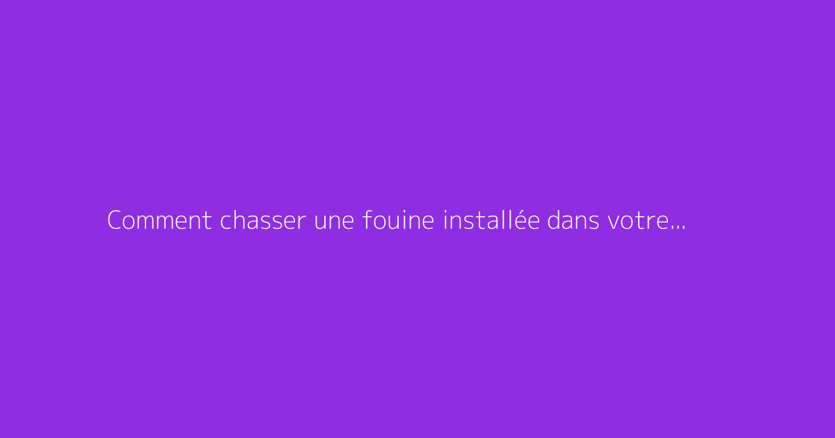 Comment chasser une fouine installée dans votre toit
