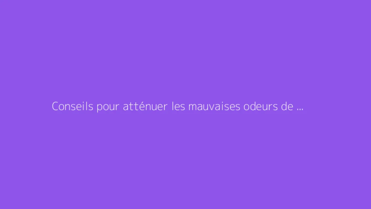 Conseils pour atténuer les mauvaises odeurs de suie dans une cheminée