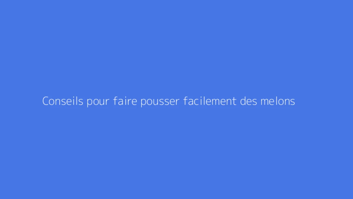 Conseils pour faire pousser facilement des melons
