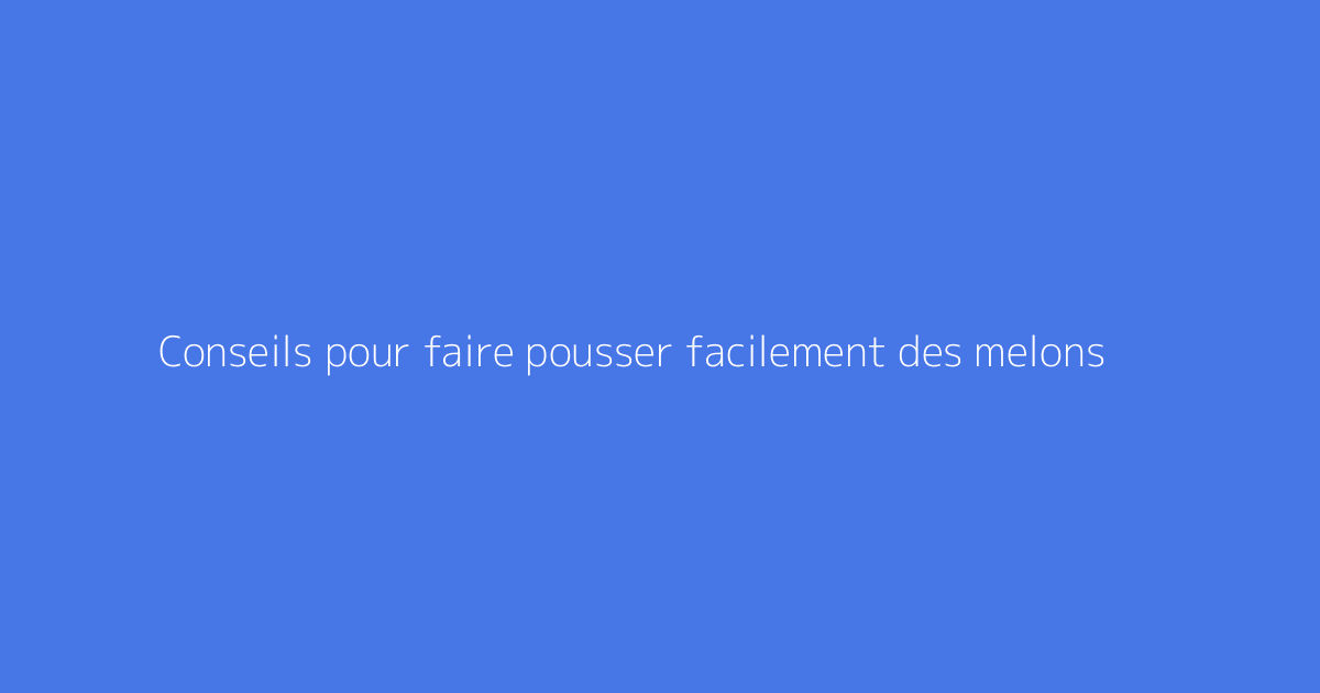 Conseils pour faire pousser facilement des melons