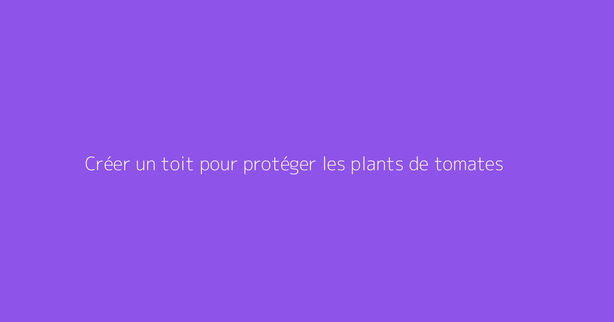 Créer un toit pour protéger les plants de tomates