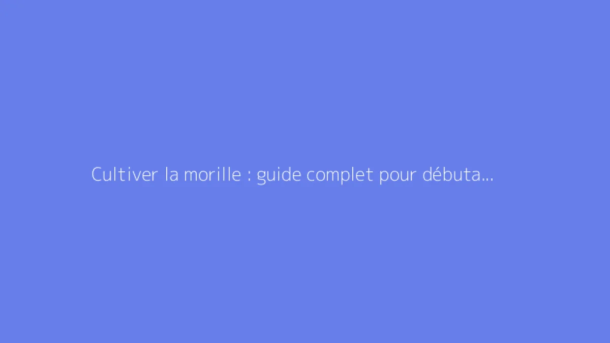 Cultiver la morille : guide complet pour débutants et passionnés