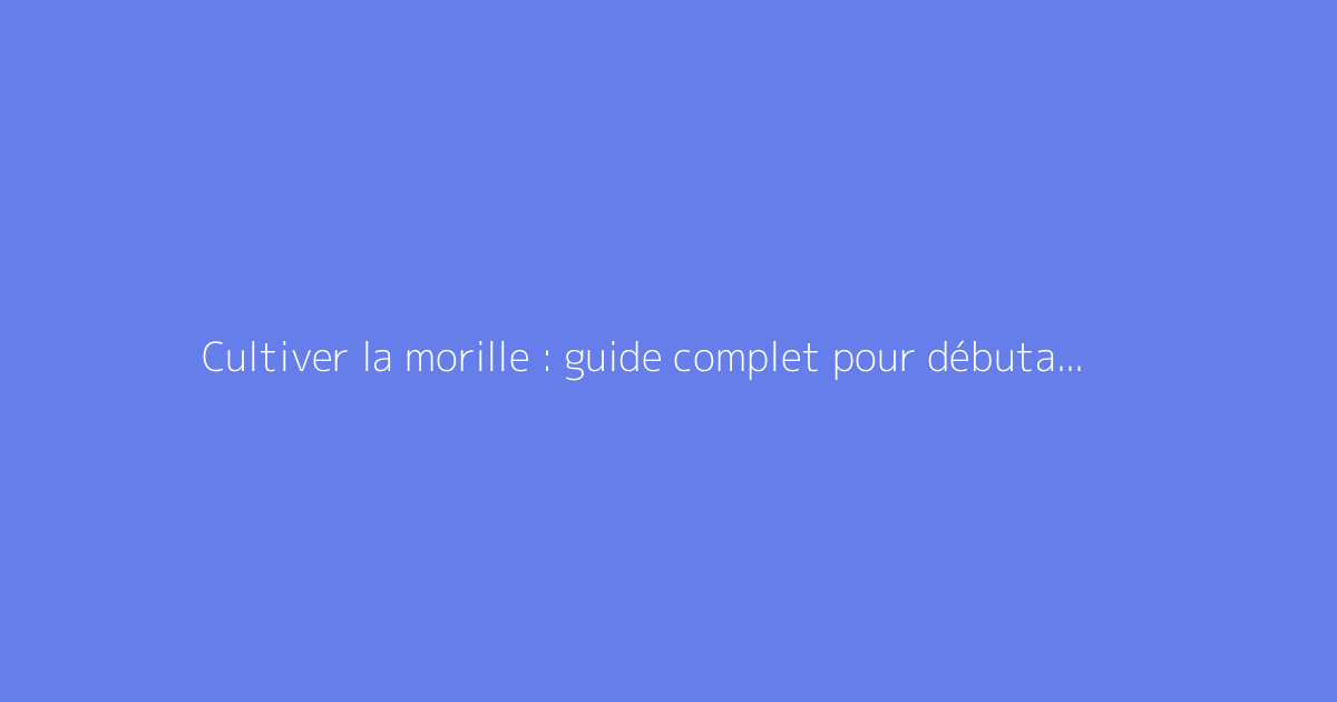 Cultiver la morille : guide complet pour débutants et passionnés