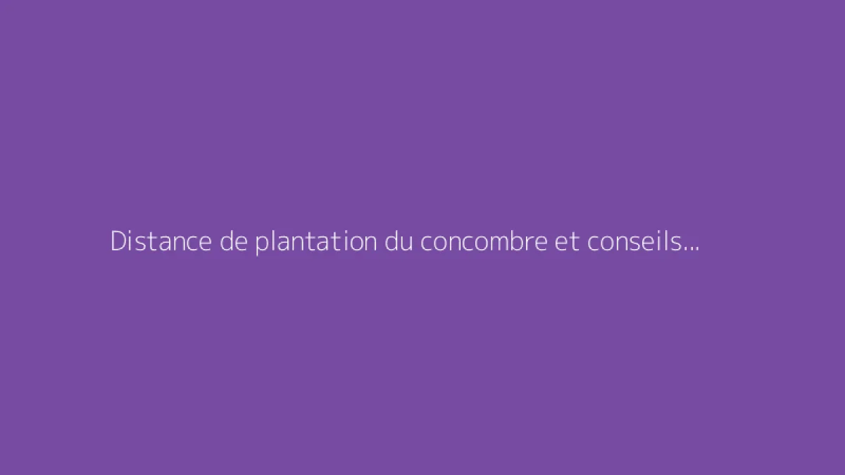 Distance de plantation du concombre et conseils pour bien le cultiver