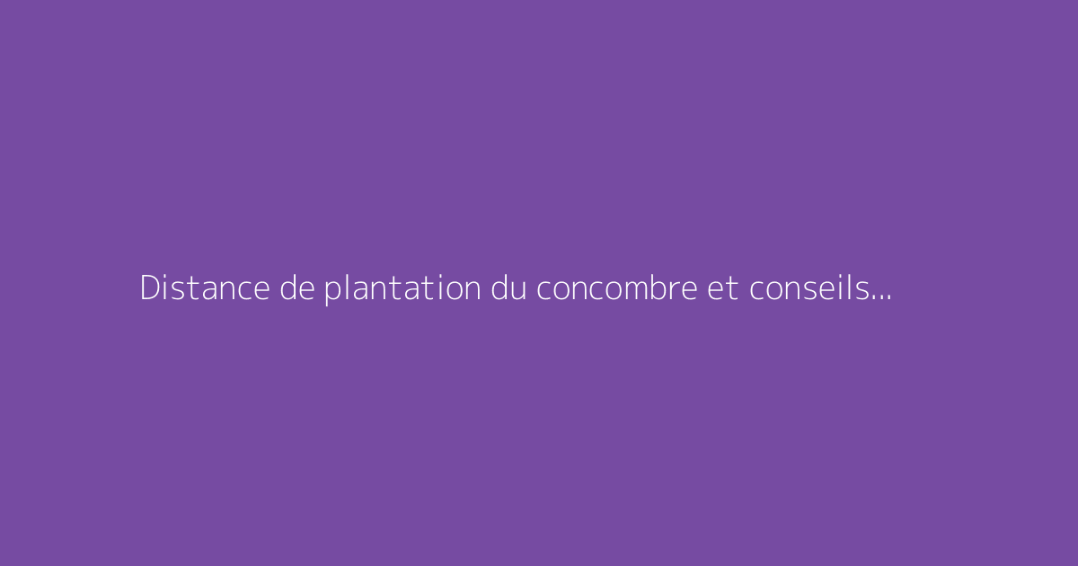 Distance de plantation du concombre et conseils pour bien le cultiver