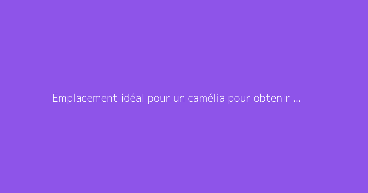 Emplacement idéal pour un camélia pour obtenir une belle floraison
