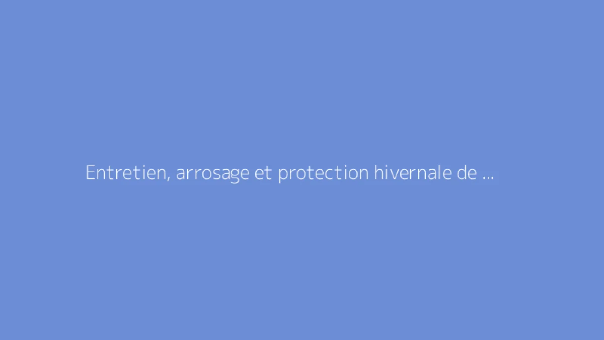 Entretien, arrosage et protection hivernale de la Cordyline australis