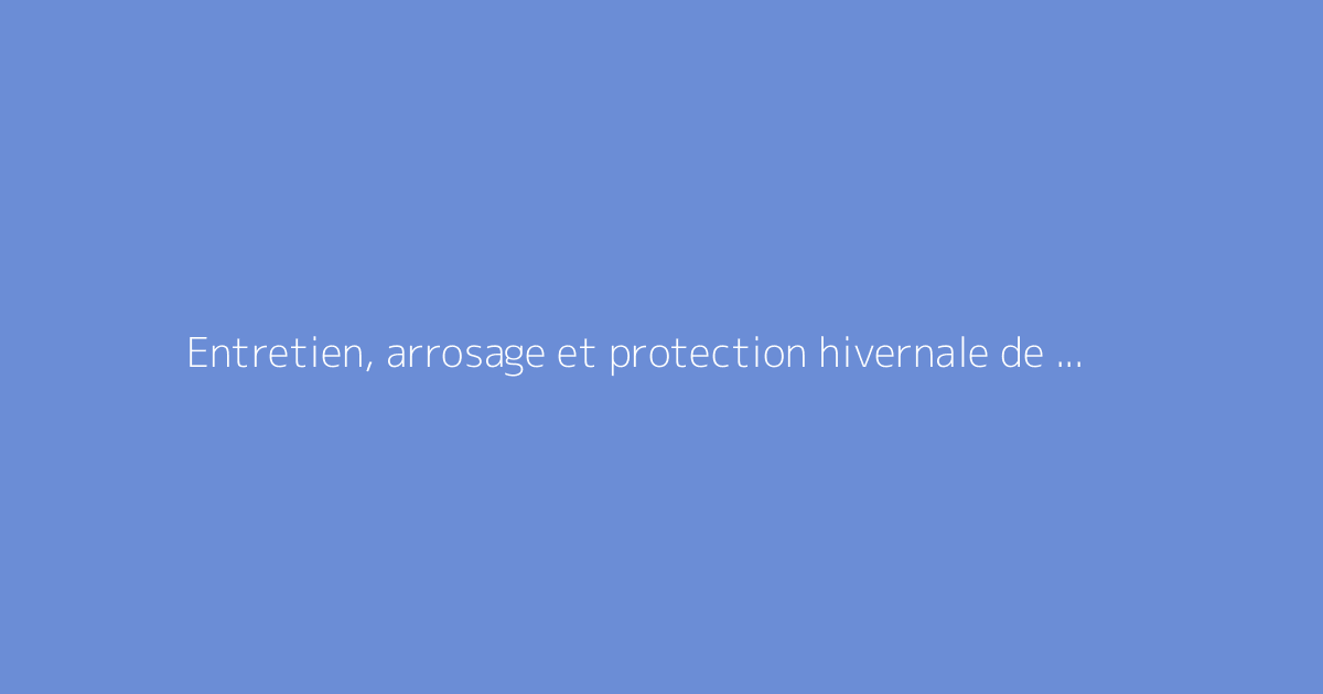 Entretien, arrosage et protection hivernale de la Cordyline australis