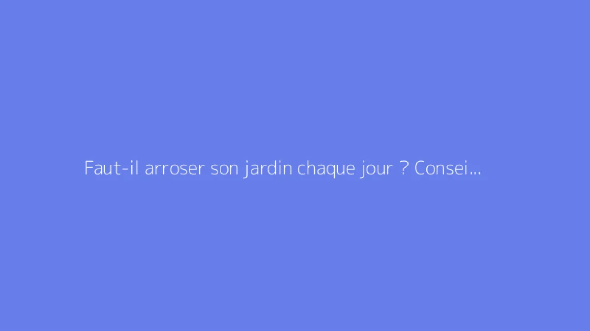 Faut-il arroser son jardin chaque jour ? Conseils pratiques
