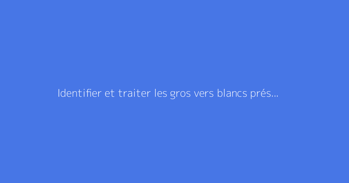 Identifier et traiter les gros vers blancs présents dans la terre