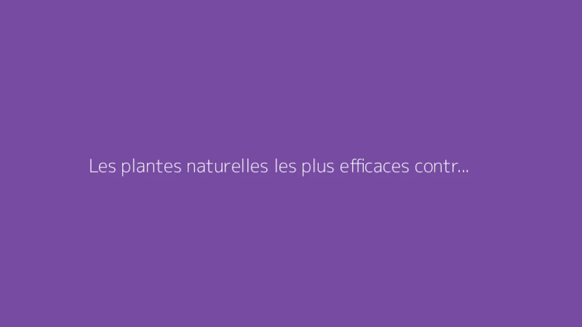 Les plantes naturelles les plus efficaces contre les moustiques