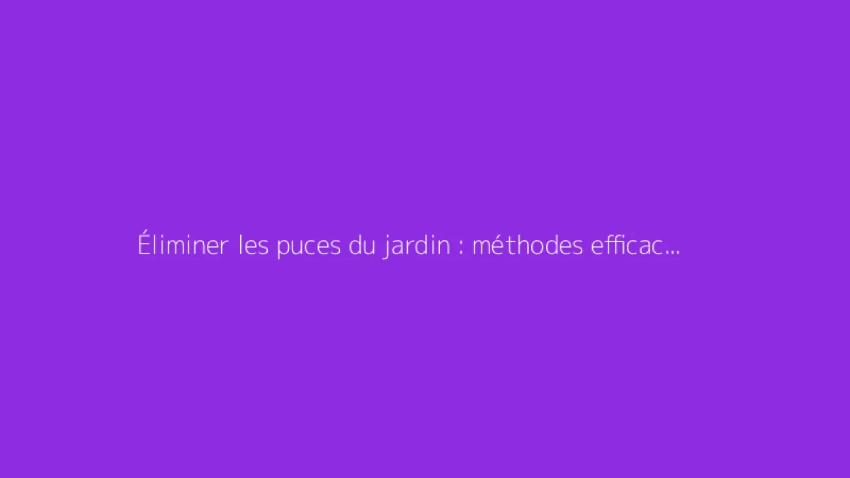 Éliminer les puces du jardin : méthodes efficaces et conseils