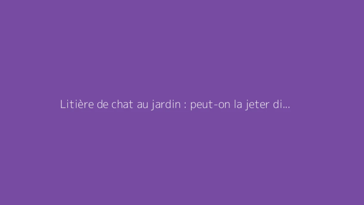 Litière de chat au jardin : peut-on la jeter directement ?