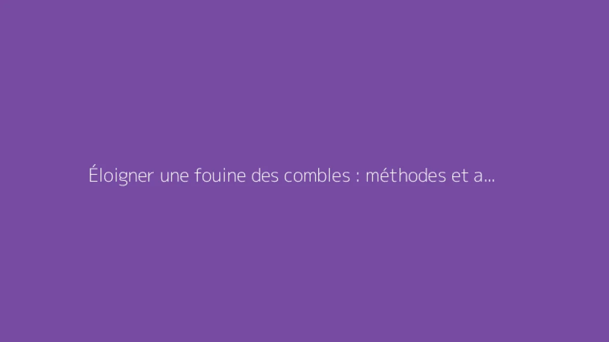 Éloigner une fouine des combles : méthodes et astuces