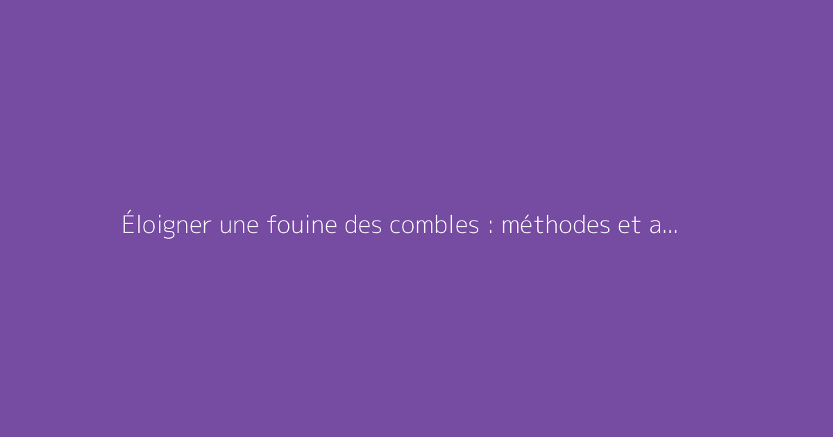 Éloigner une fouine des combles : méthodes et astuces