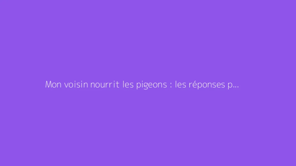 Mon voisin nourrit les pigeons : les réponses pour agir correctement