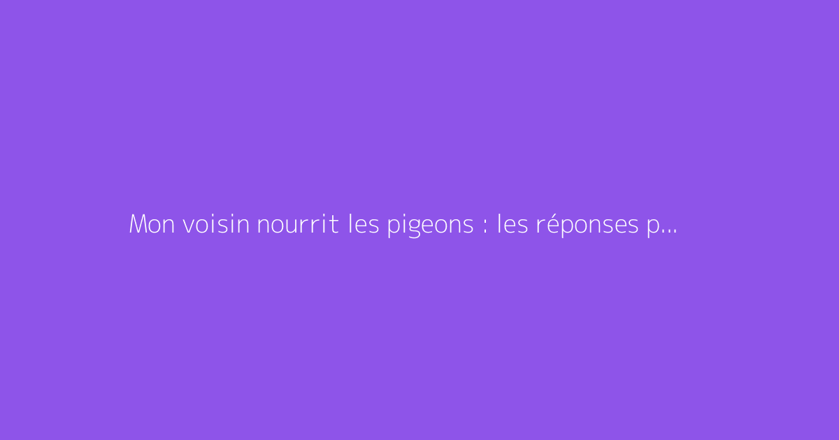 Mon voisin nourrit les pigeons : les réponses pour agir correctement