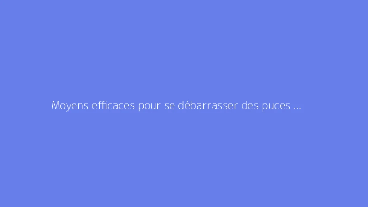 Moyens efficaces pour se débarrasser des puces dans un jardin