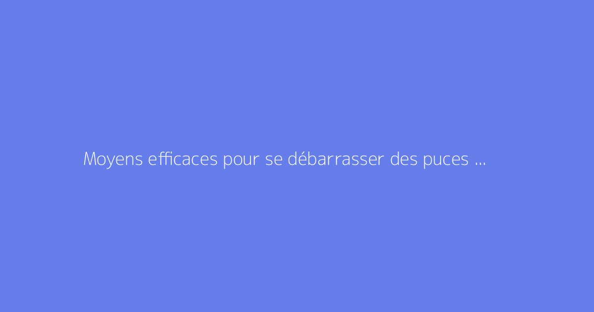 Moyens efficaces pour se débarrasser des puces dans un jardin