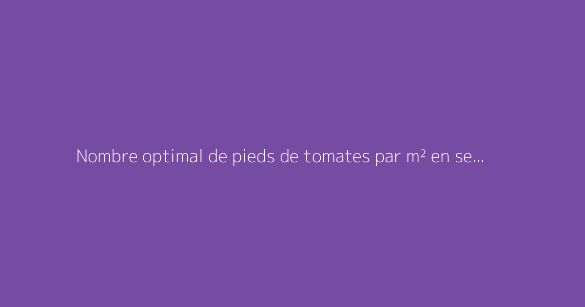 Nombre optimal de pieds de tomates par m² en serre ou pleine terre