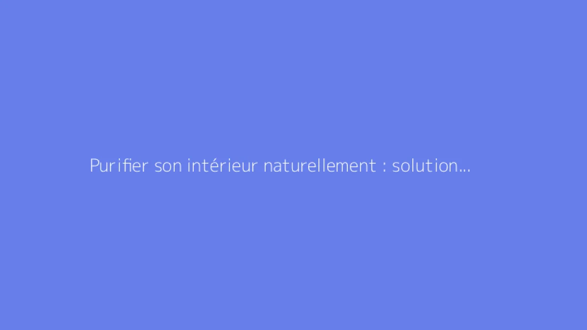 Purifier son intérieur naturellement : solutions efficaces à connaître