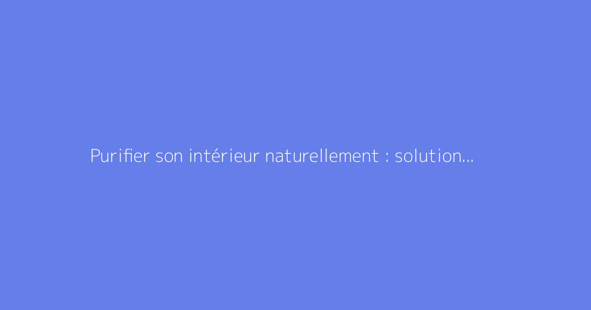Purifier son intérieur naturellement : solutions efficaces à connaître