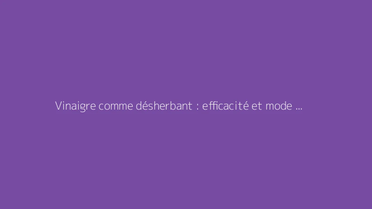 Vinaigre comme désherbant : efficacité et mode d’emploi pour le jardin