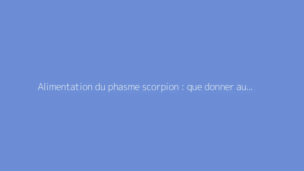 Alimentation du phasme scorpion : que donner aux adultes et aux jeunes ?