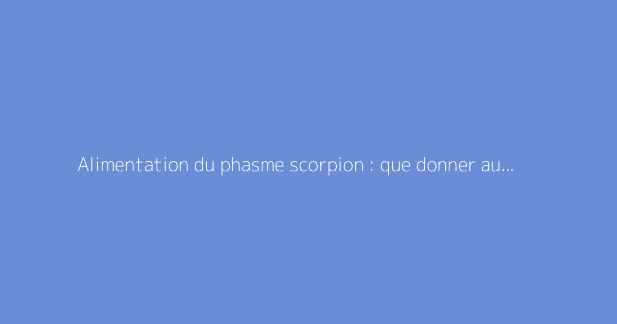 Alimentation du phasme scorpion : que donner aux adultes et aux jeunes ?