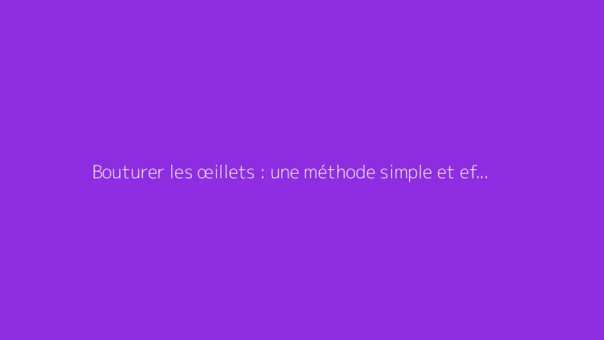Bouturer les œillets : une méthode simple et efficace à adopter
