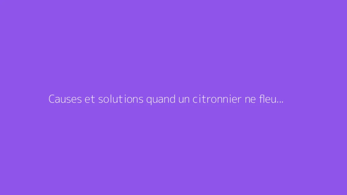 Causes et solutions quand un citronnier ne fleurit pas