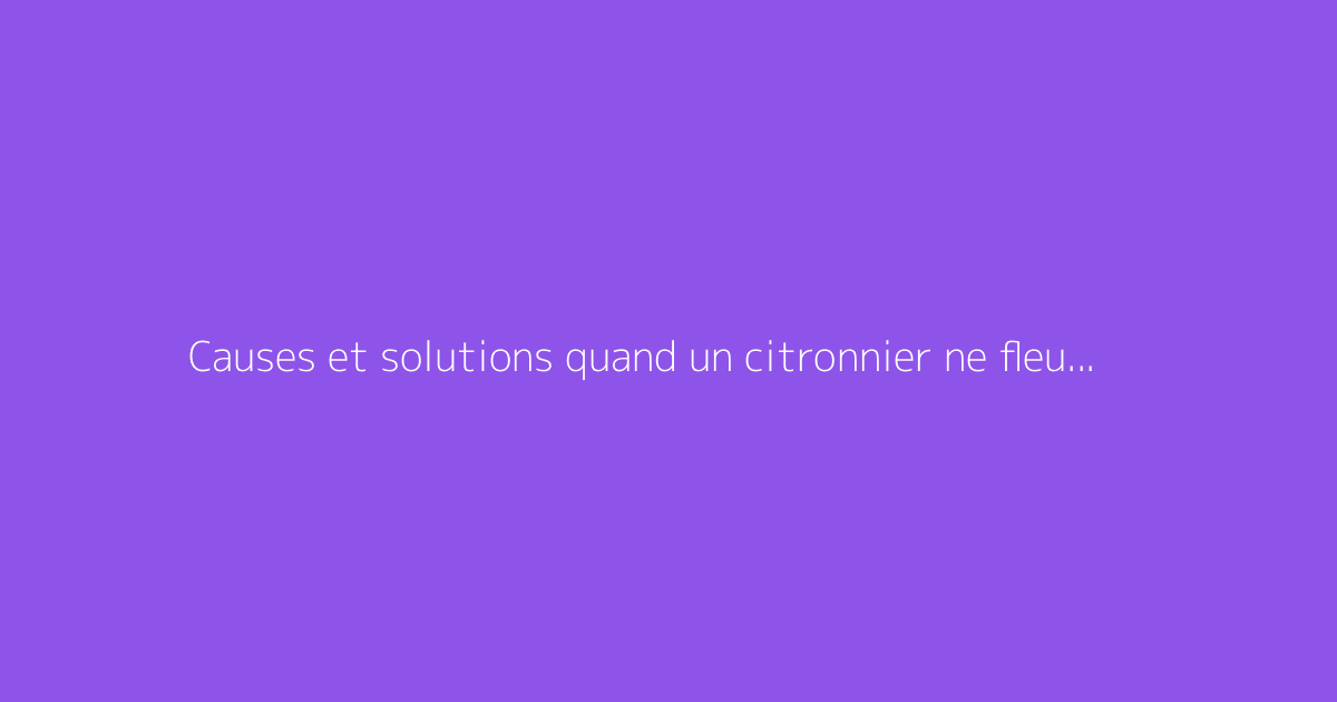 Causes et solutions quand un citronnier ne fleurit pas