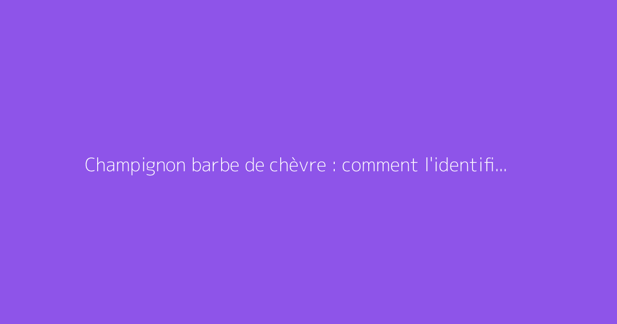 Champignon barbe de chèvre : comment l'identifier et l'utiliser