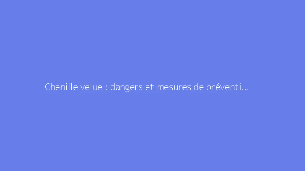 Chenille velue : dangers et mesures de prévention indispensables