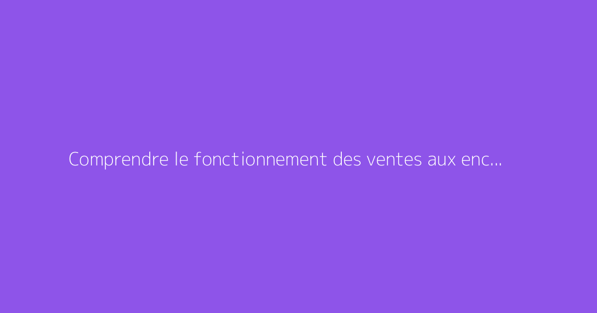 Comprendre le fonctionnement des ventes aux enchères Licit or