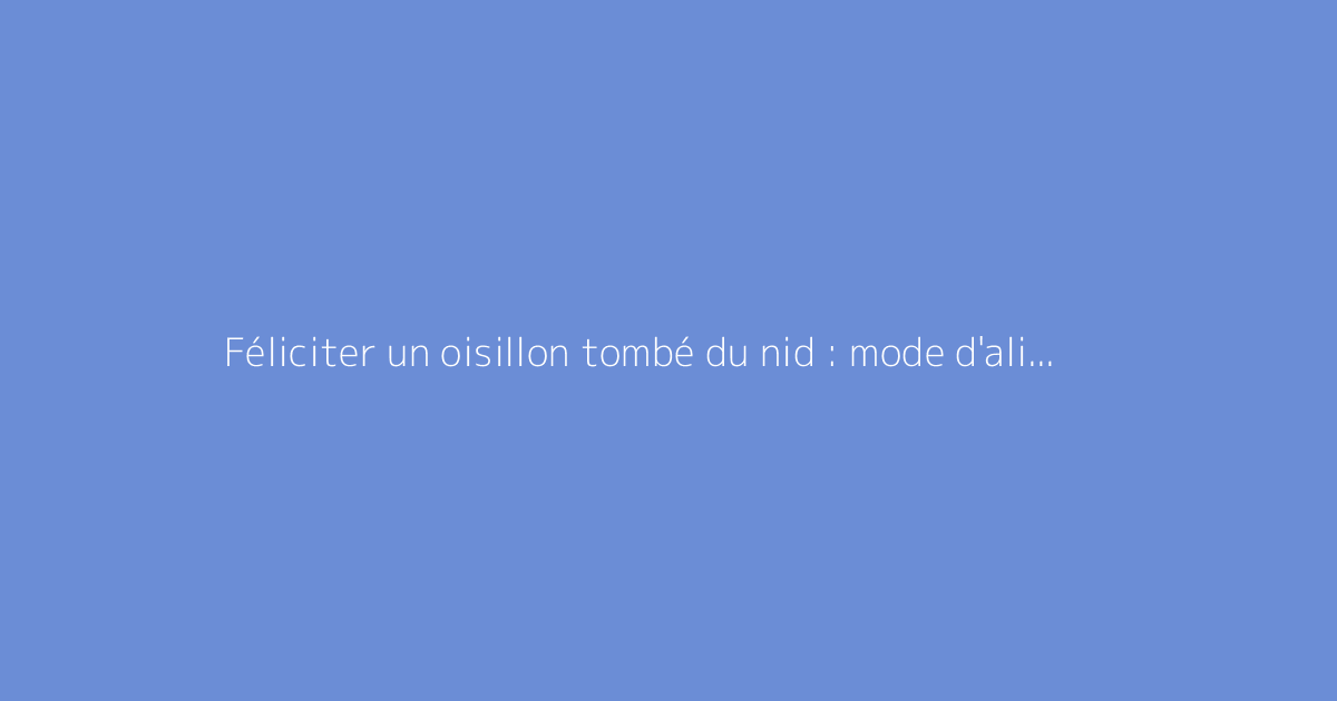 Féliciter un oisillon tombé du nid : mode d'alimentation sécurisé