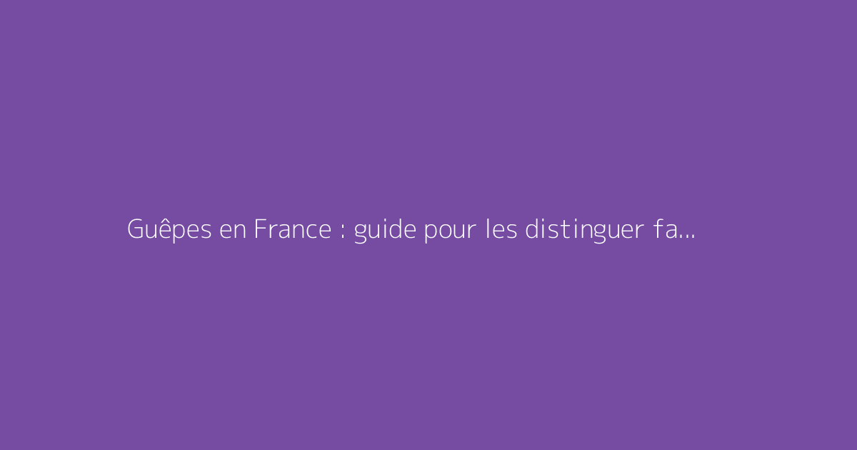 Guêpes en France : guide pour les distinguer facilement