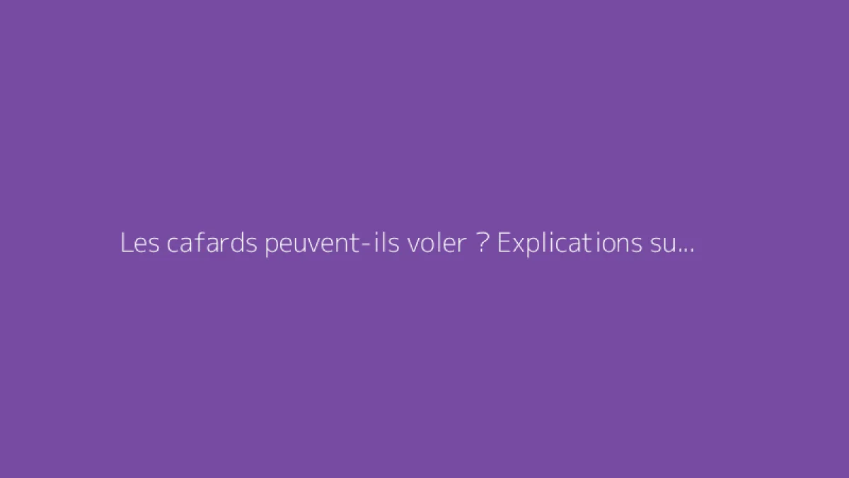 Les cafards peuvent-ils voler ? Explications sur les espèces ailées
