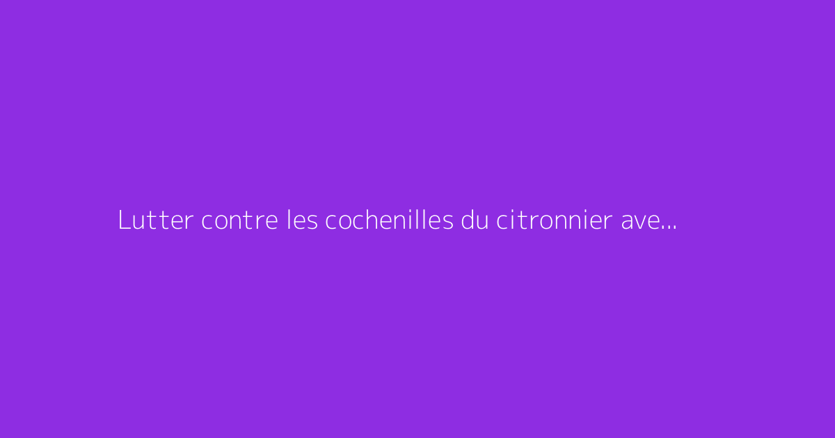 Lutter contre les cochenilles du citronnier avec du savon noir