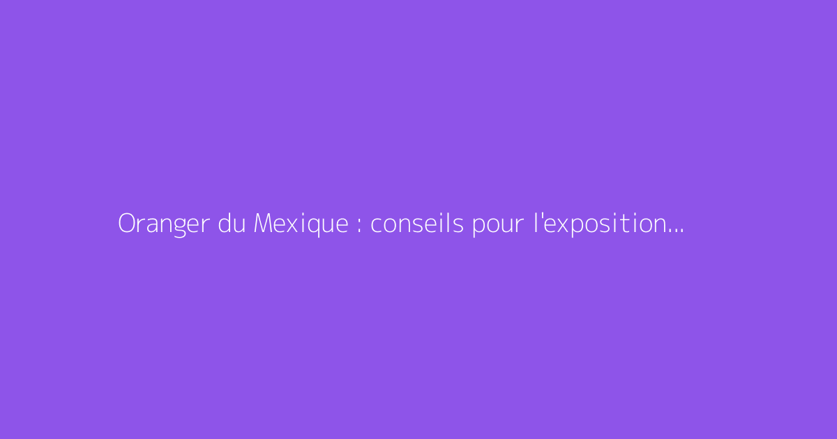 Oranger du Mexique : conseils pour l'exposition et la plantation