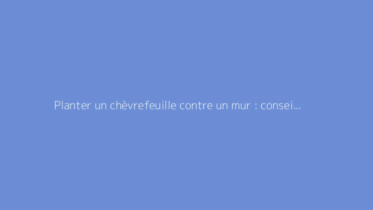 Planter un chèvrefeuille contre un mur : conseils pratiques