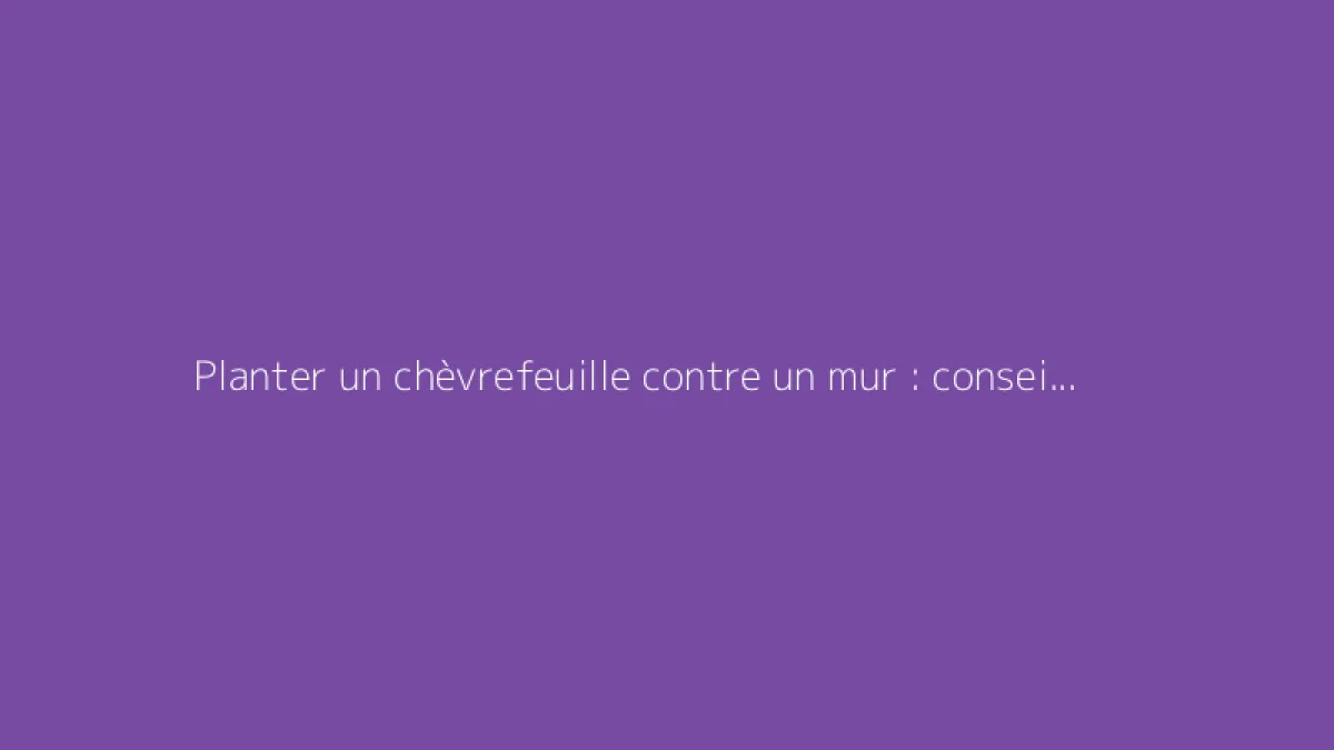 Planter un chèvrefeuille contre un mur : conseils pratiques