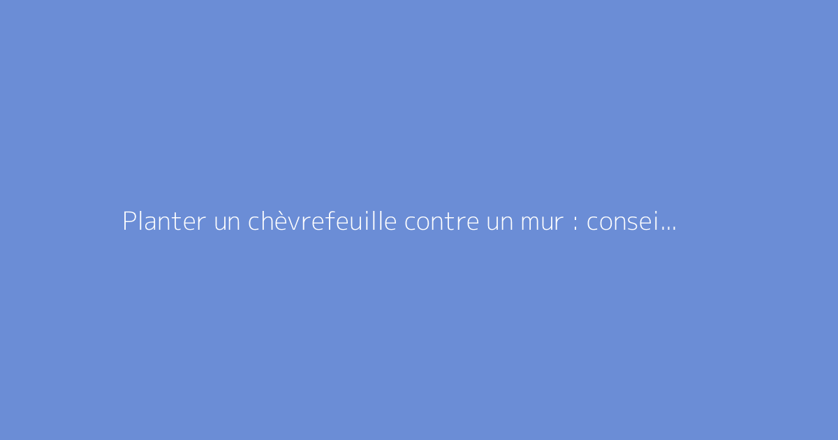 Planter un chèvrefeuille contre un mur : conseils pratiques