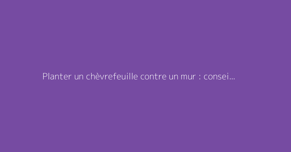 Planter un chèvrefeuille contre un mur : conseils pratiques