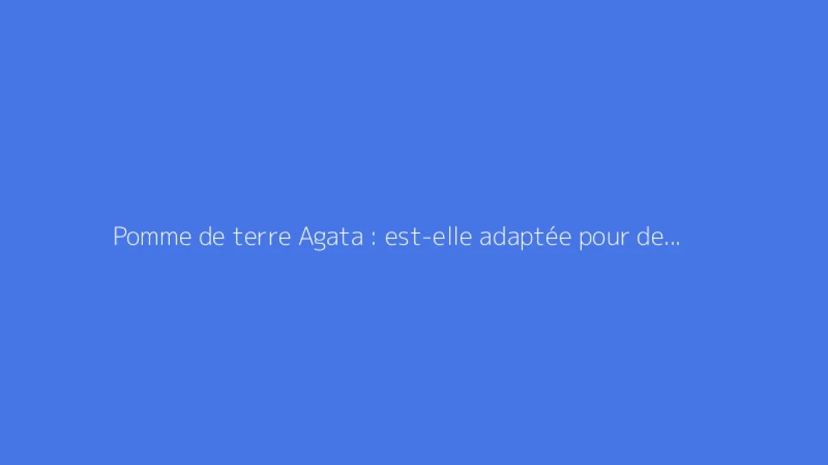 Pomme de terre Agata : est-elle adaptée pour des frites ?