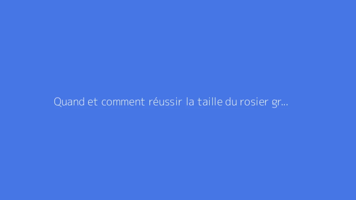 Quand et comment réussir la taille du rosier grimpant