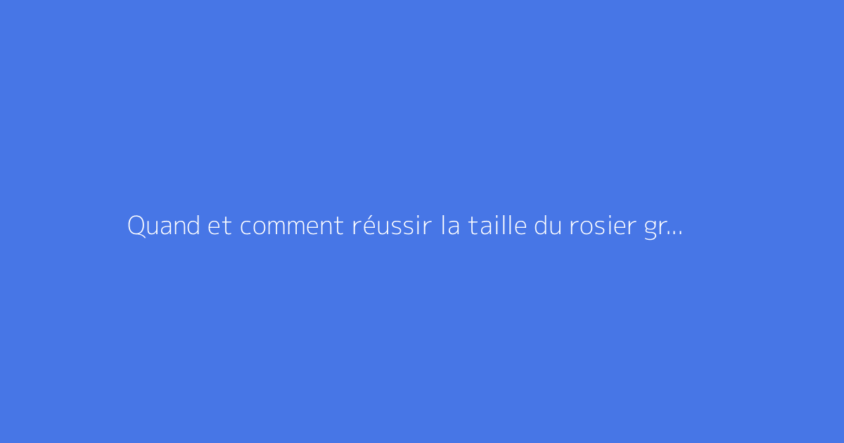Quand et comment réussir la taille du rosier grimpant